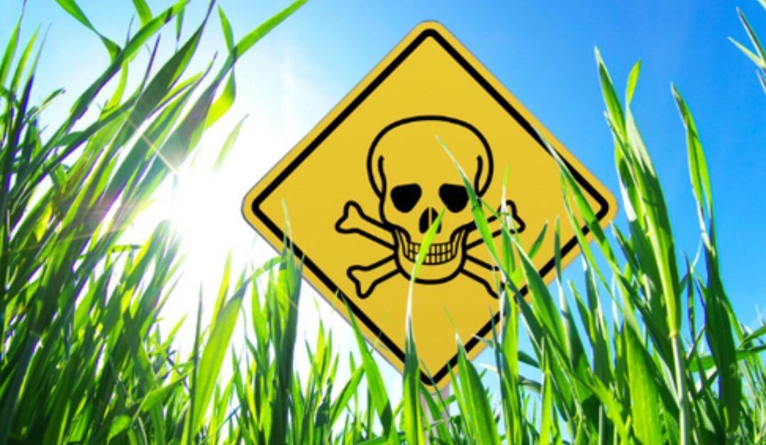 The Hidden Dangers of Glyphosate: What You Need to Know to Stay Healthy