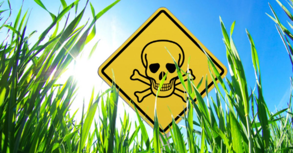 Hazardous sign in the grass