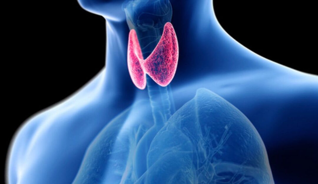 Managing Hypothyroidism: A Holistic Approach