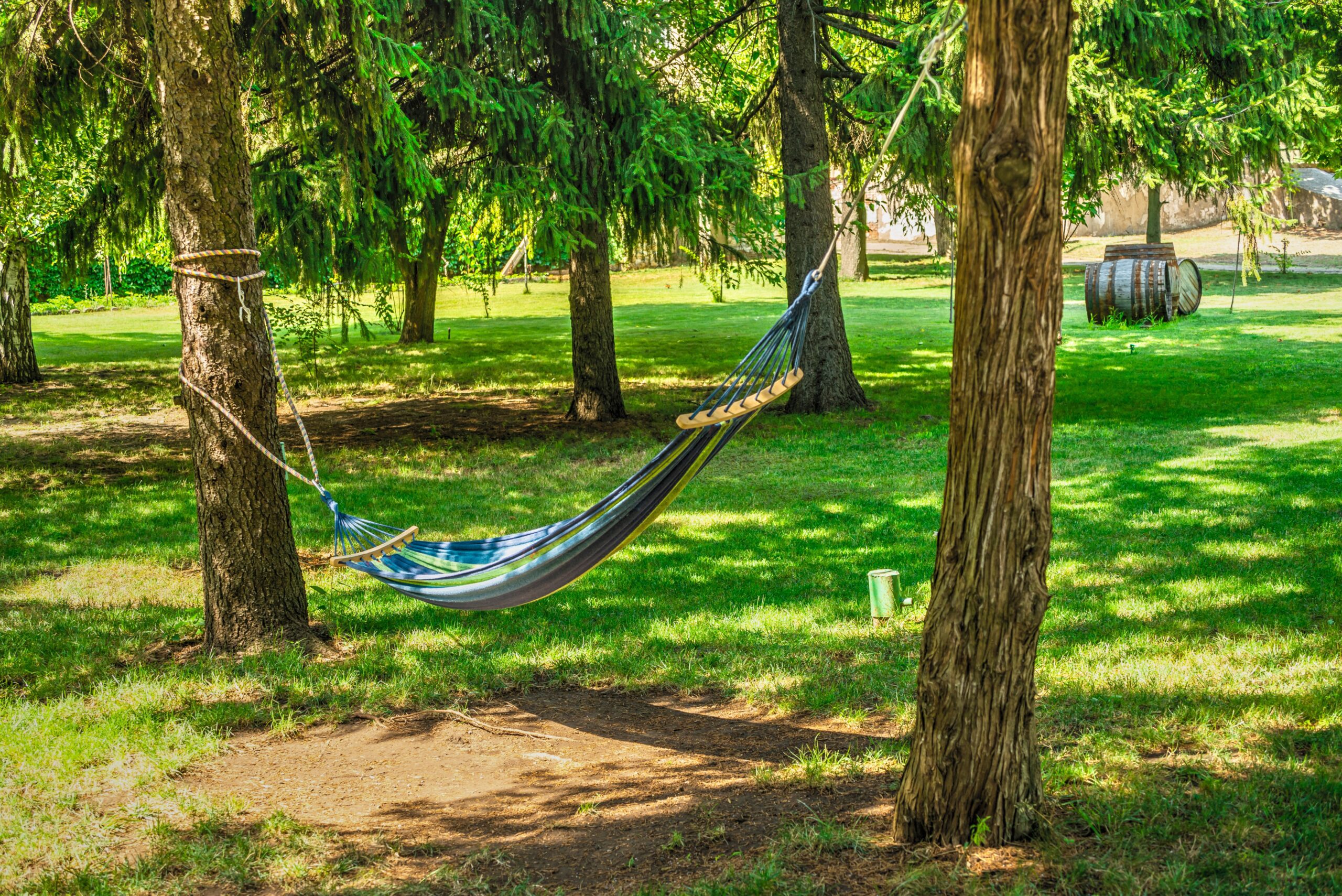 hammock nature