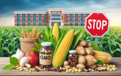 Are GMOs safe to eat?