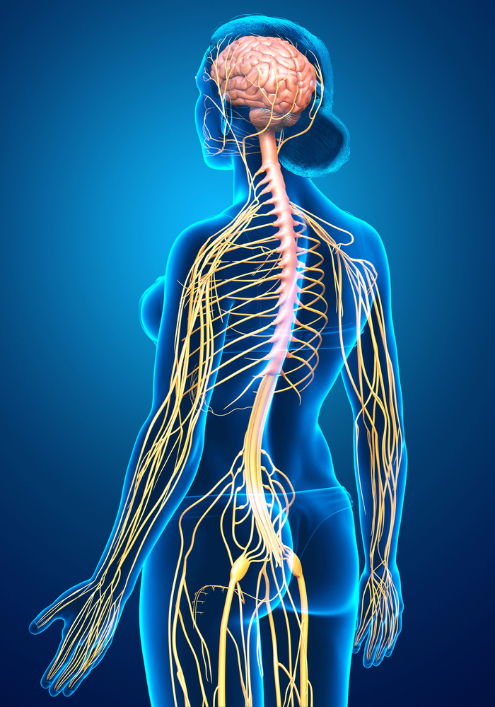 nervous system treatment
